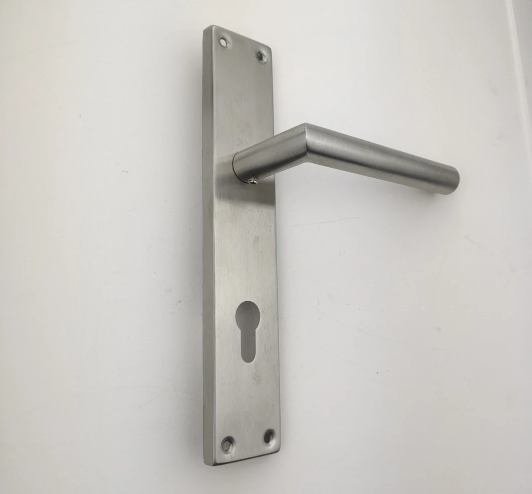 Stainless Steel Hollow Tube Lever on Plate Door Handle (SS0203)